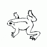 frogs1 - "Frogs" 2005 (aum009/TP004)